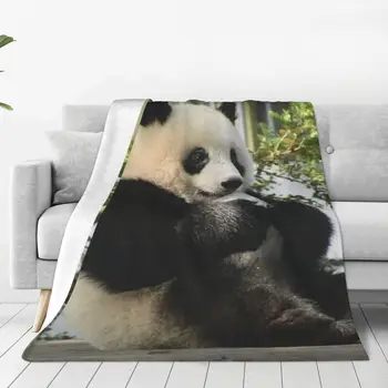 Japāņu Xiangxiang Panda Segu Ziemā Silts Flaneļa Vilnas Mest Segas Luksusa Gultas Istabas Dekors